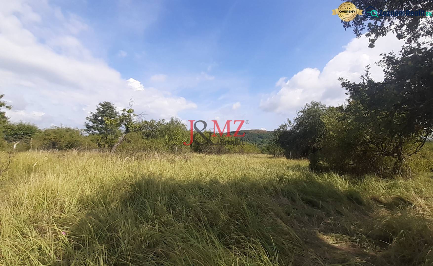 Grassy land in the Recreational plots in Jabloňovce, Upper Jabloňovce surrounded by trees.