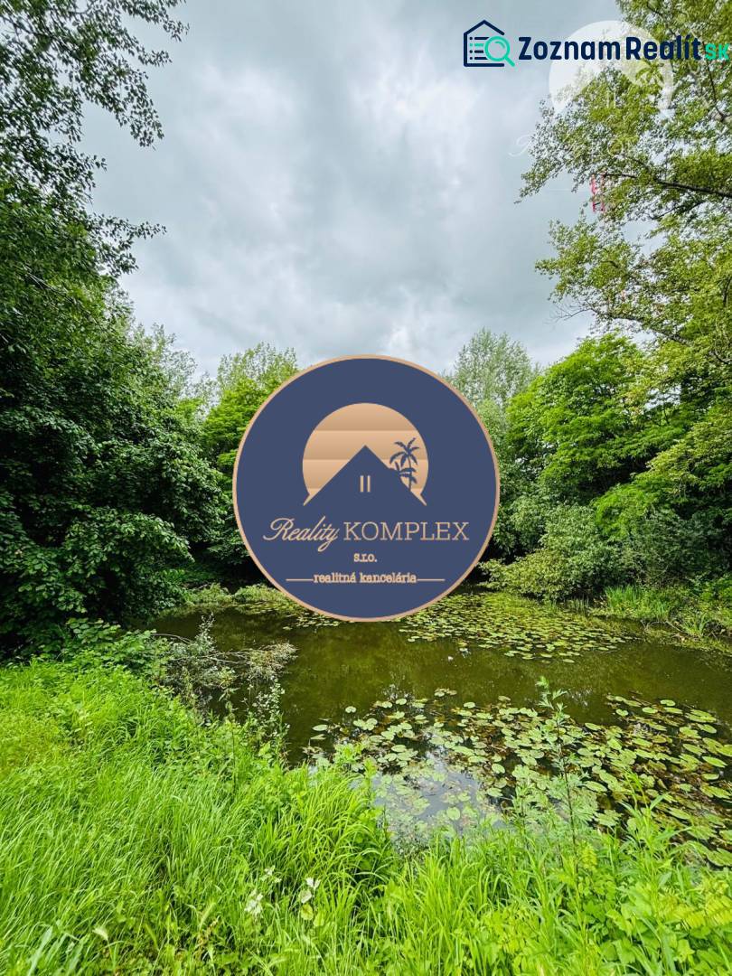 A lake surrounded by greenery on the property - living in Dedina Mládeže.