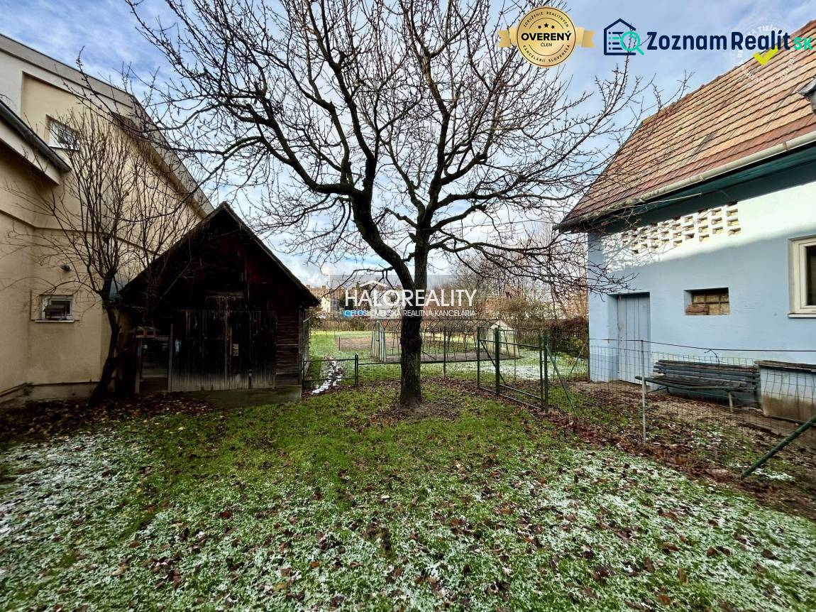 A snowy garden next to a family house in Prievidza with a wooden shed and a tree.