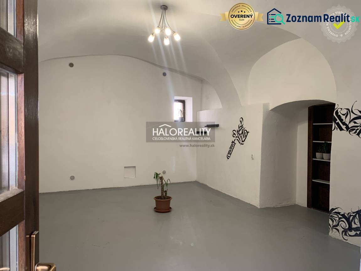 The interior of offices with white walls, an arched ceiling, and a potted plant.