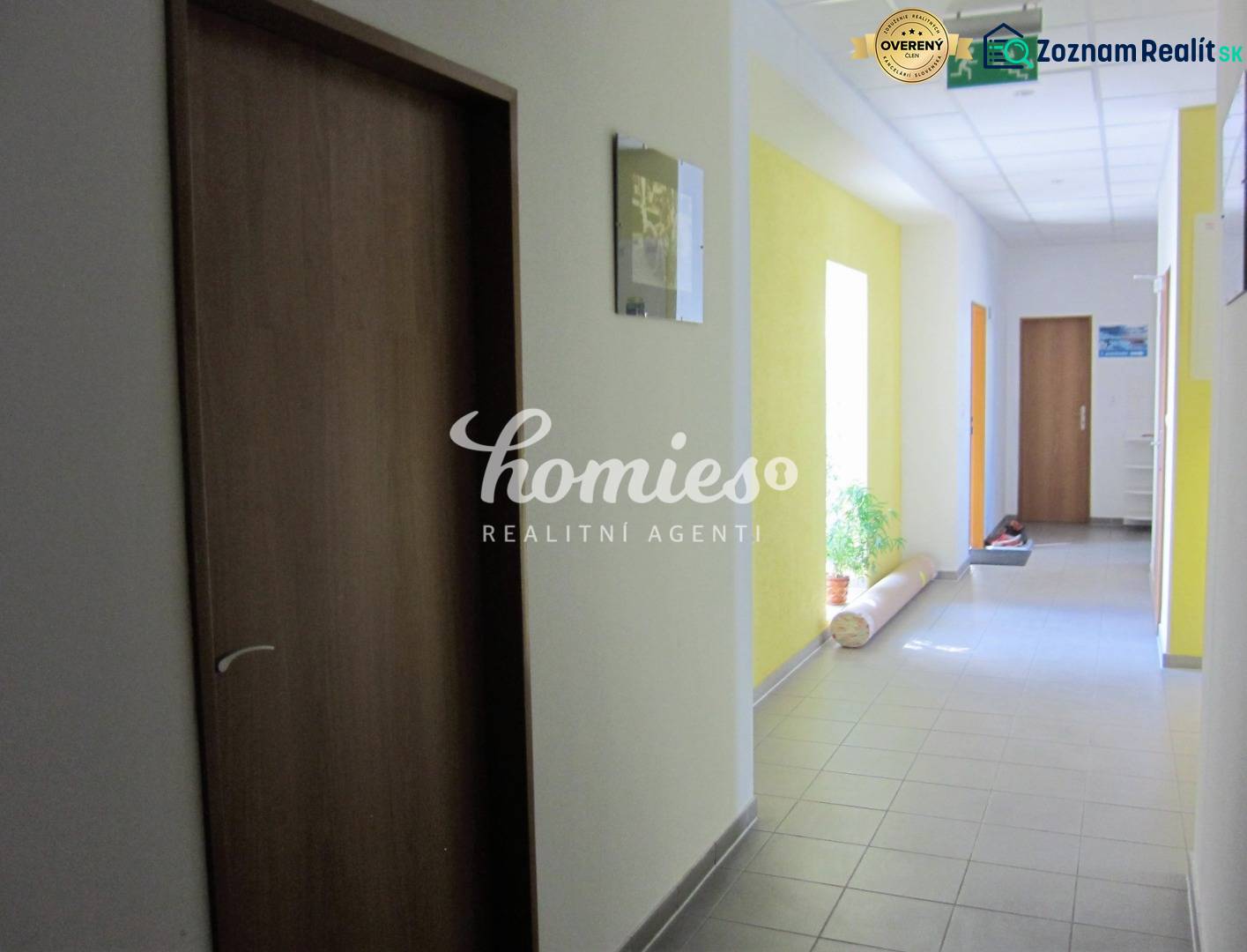 A corridor with doors and a plant on Štúrova Street leads to the offices.