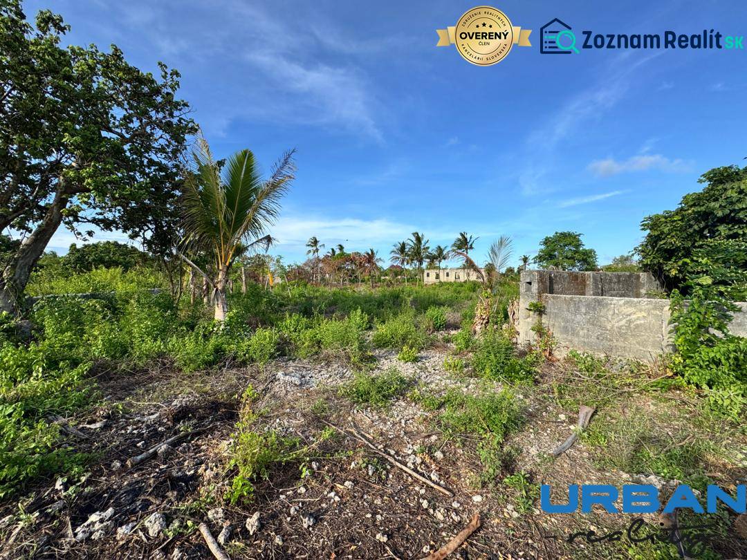 Commercial plots in Kizimkazi with lush greenery and palm trees.