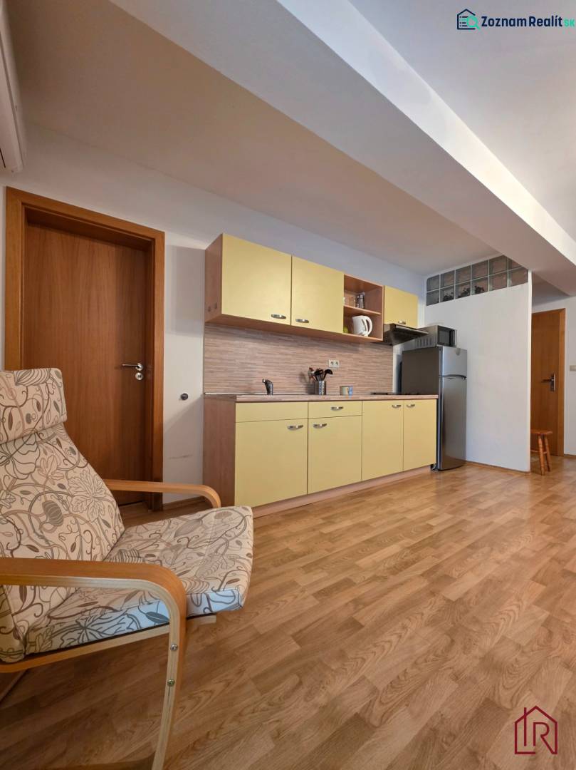 Recreational apartment with a kitchenette, armchair, and floor with wood decor.