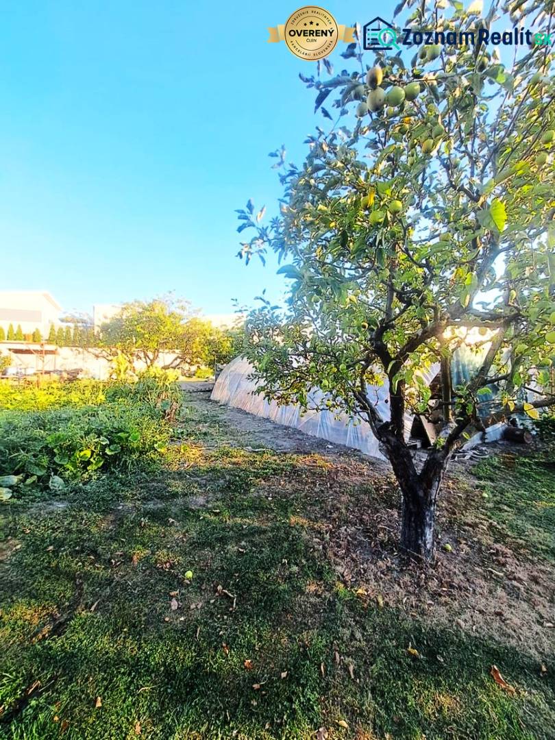 A garden with a fruit tree and a greenhouse at a family house in Kolárovo.