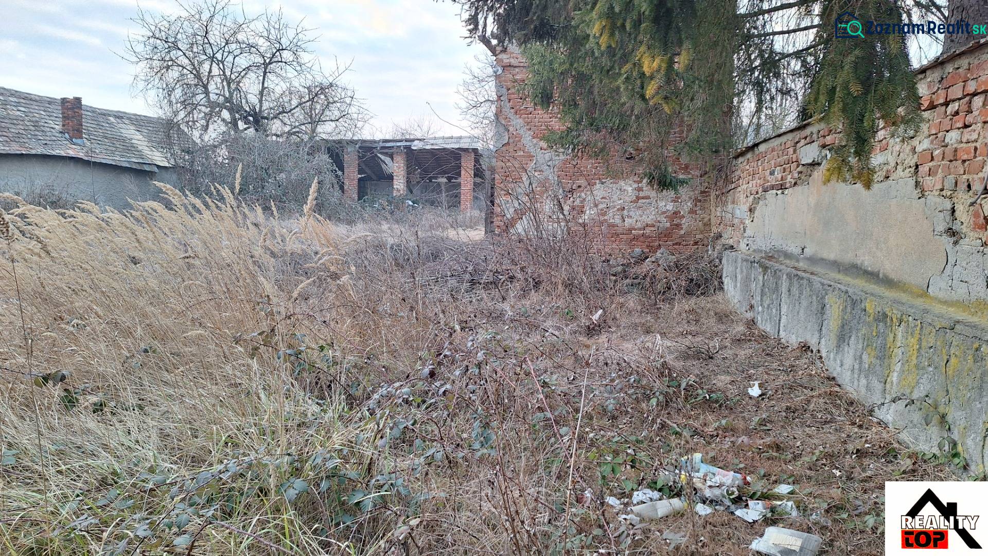 An abandoned residential plot in Radzovce with unmaintained vegetation and old buildings.