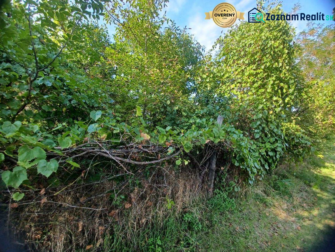 Greenery and fencing in residential plots in Veľké Zálužie, surrounded by dense foliage.