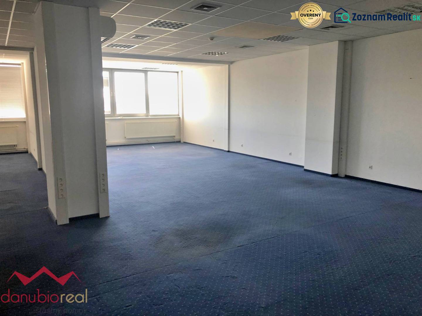Spacious offices with blue carpet and large windows providing natural light.