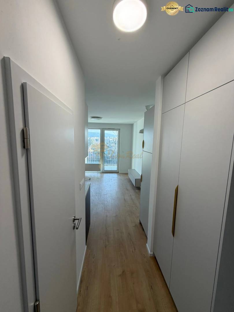 A narrow hallway in a studio apartment with a wood-patterned floor and a view of the window.