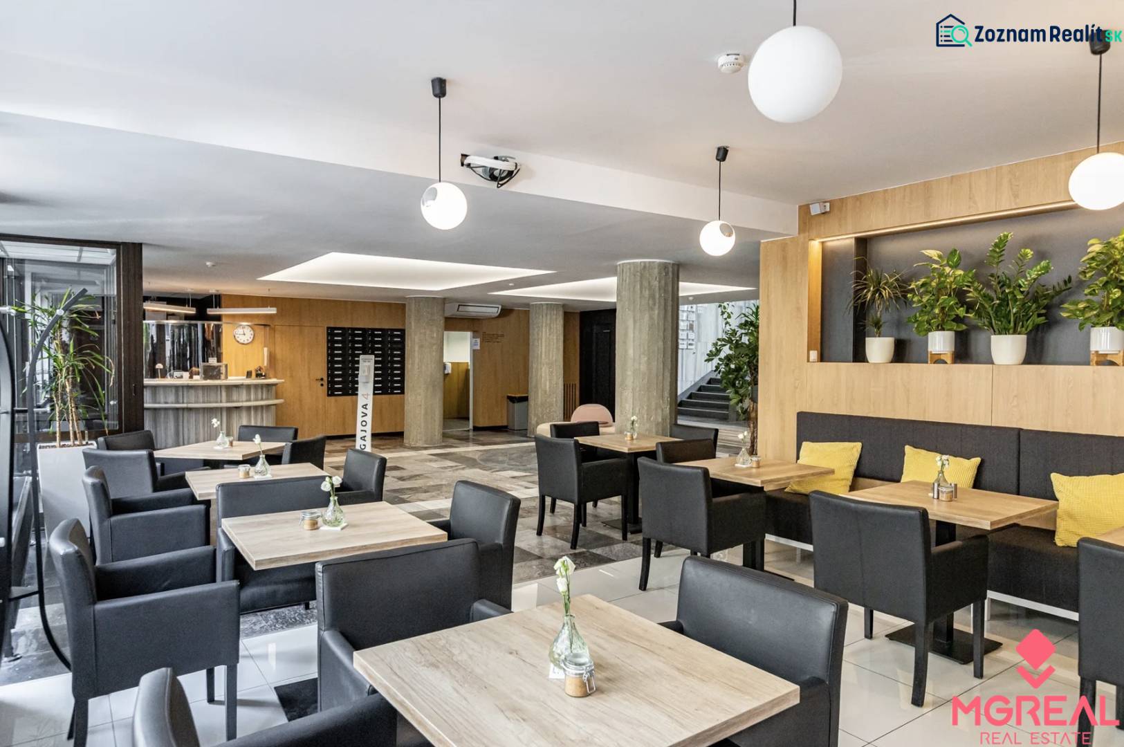 Offices with wood-patterned flooring, desks, black chairs, and plants in Bratislava.