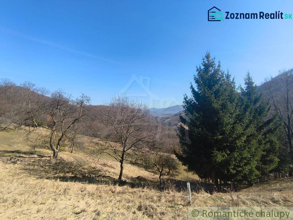 Gardens in Nová Baňa with deciduous and coniferous trees on sloping terrain under a blue sky.
