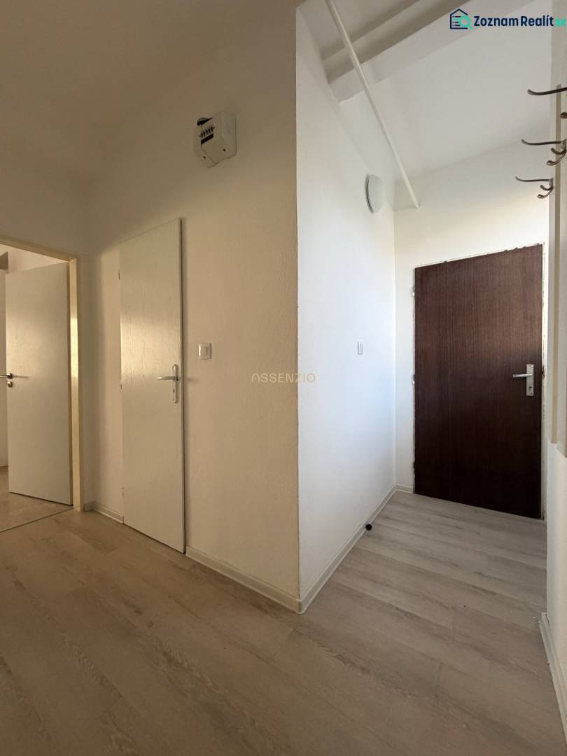 A hallway with a wooden decor floor in a studio apartment.