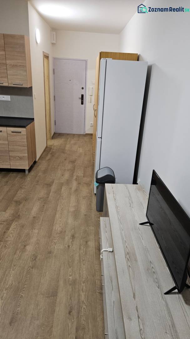 Studio apartment with wood-patterned flooring, kitchenette, refrigerator, and television.