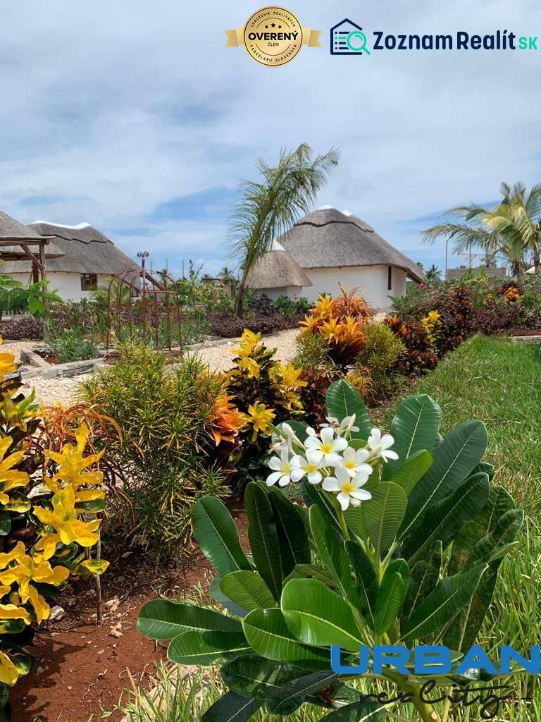 Villa surrounded by a blooming fragrant garden.jpg