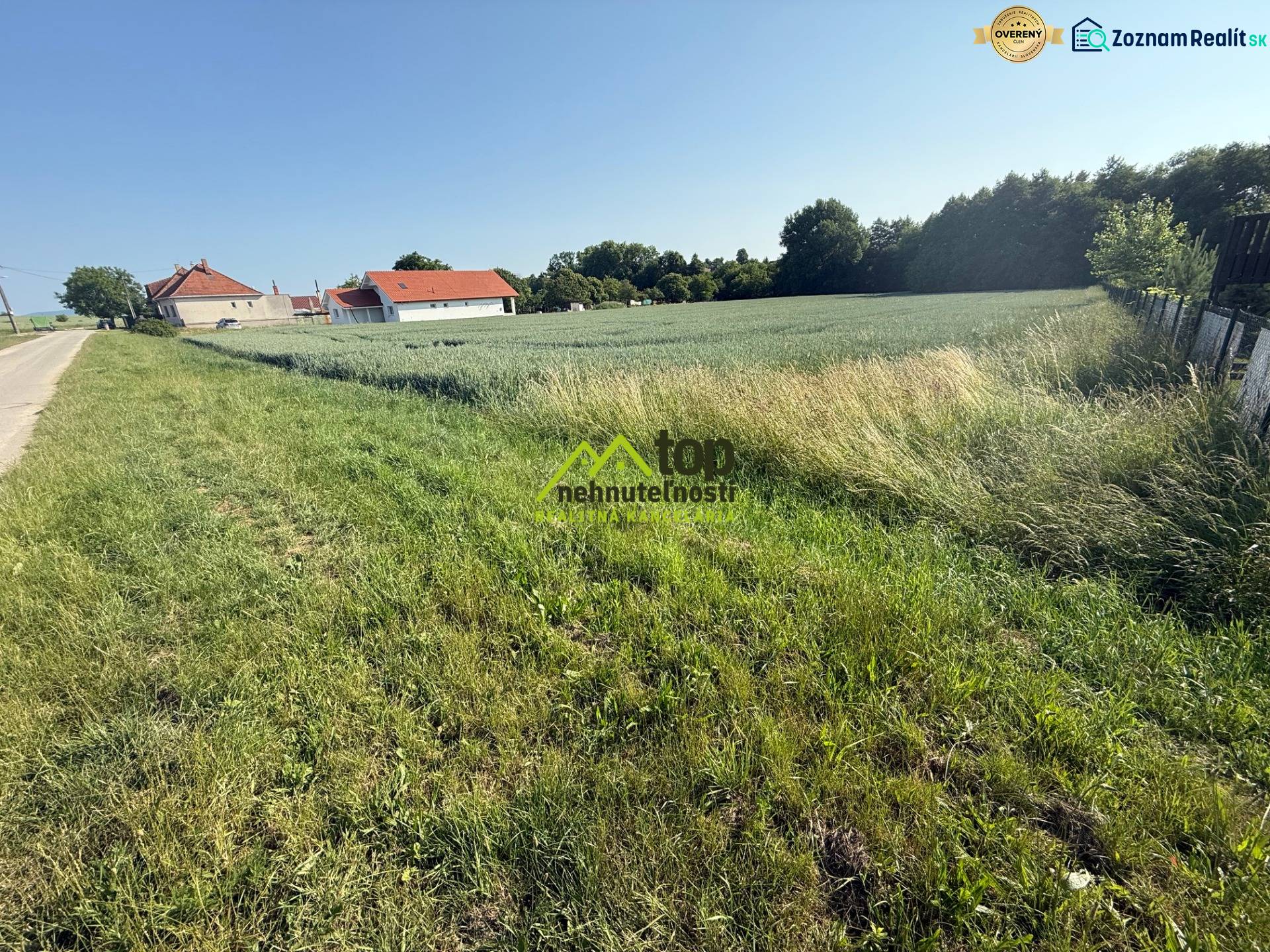 Grassy plots for living in Bojná; houses, fields, and a road next to the forest.