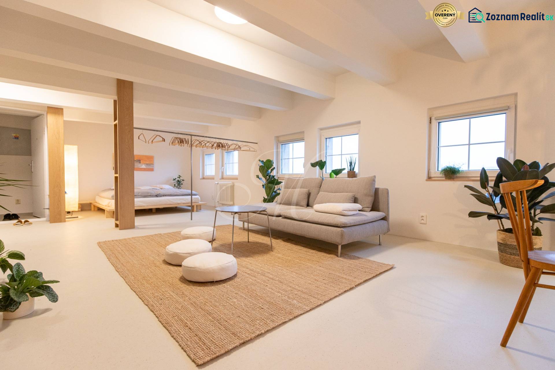 Bright 3-room apartment with a sofa, plants, table, and bed in an open space.