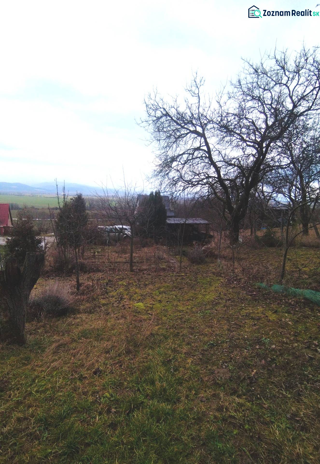A view of winter gardens in Nové Mesto nad Váhom with bare trees and grass.