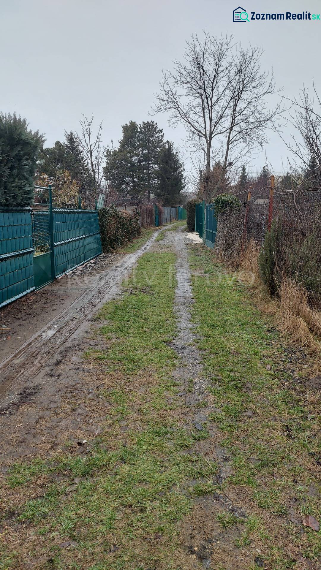 A snowy road between fences leads to a cottage in Nové Zámky.