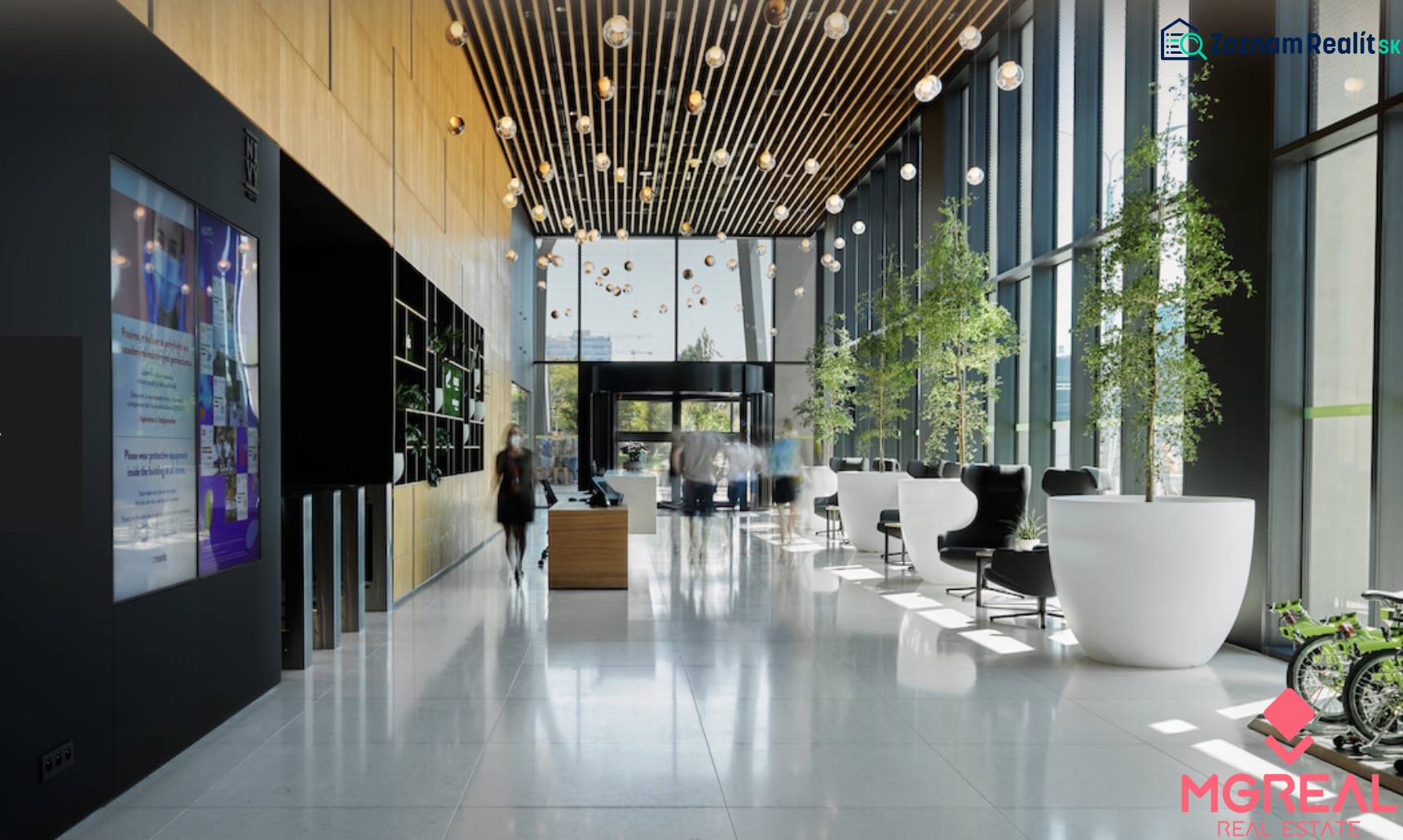Reception in an office with glass walls, plants, and comfortable seating.