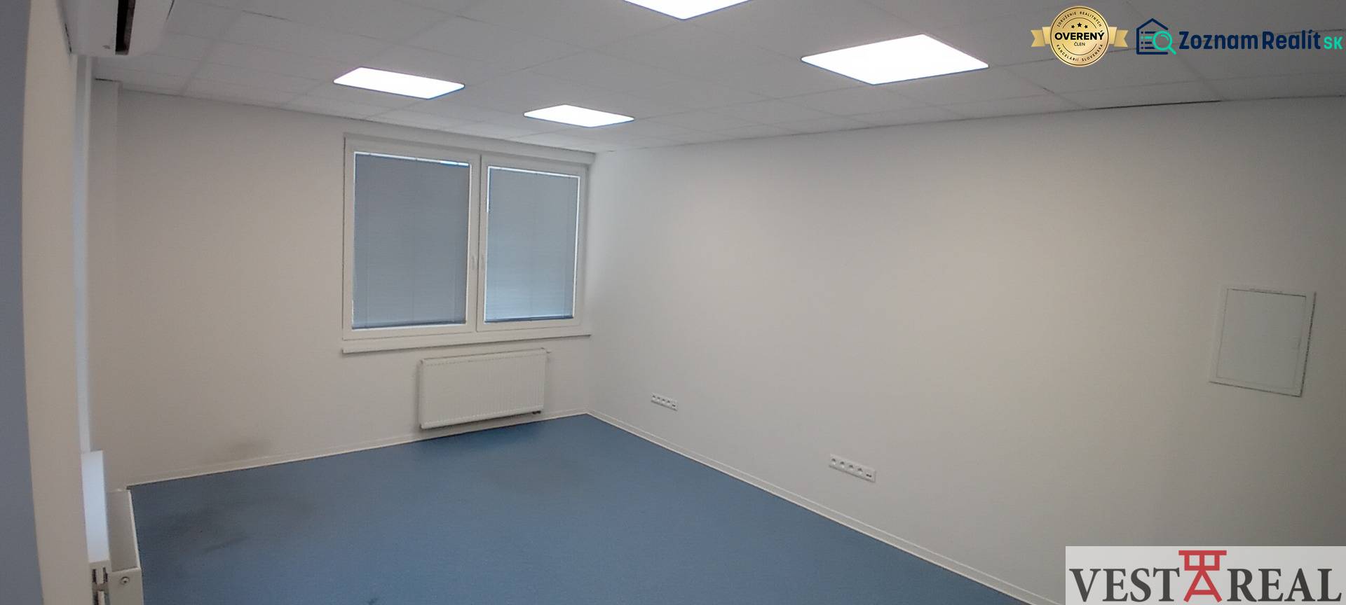 Offices with blue carpet, white walls, and ceiling lighting.