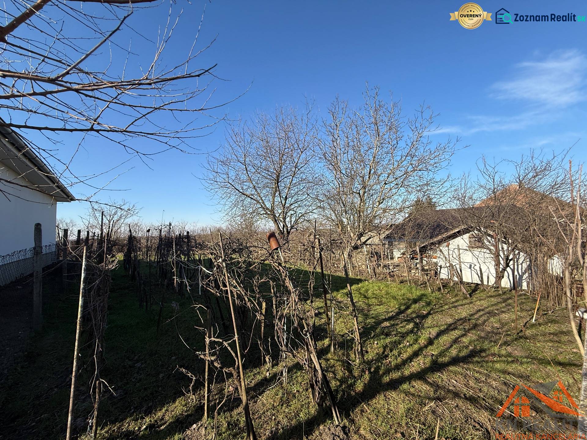 A residential plot on Cintorínska Street in Svätý Peter with fruit trees.
