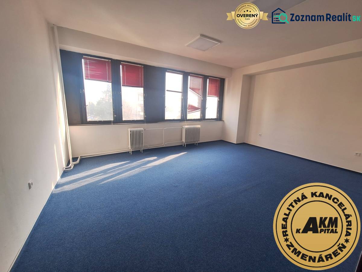 Office with a blue carpet and large windows, bright space.