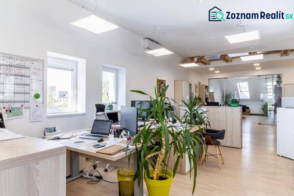 Bright offices with computers, plants, and wood-patterned flooring.