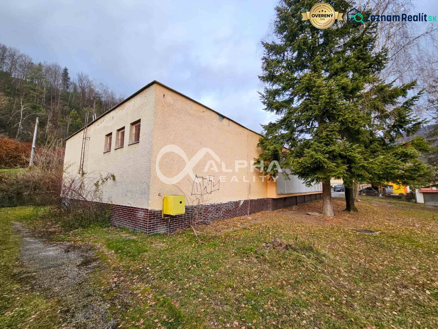 A building in Helcmanovce surrounded by greenery, next to a tall conifer.