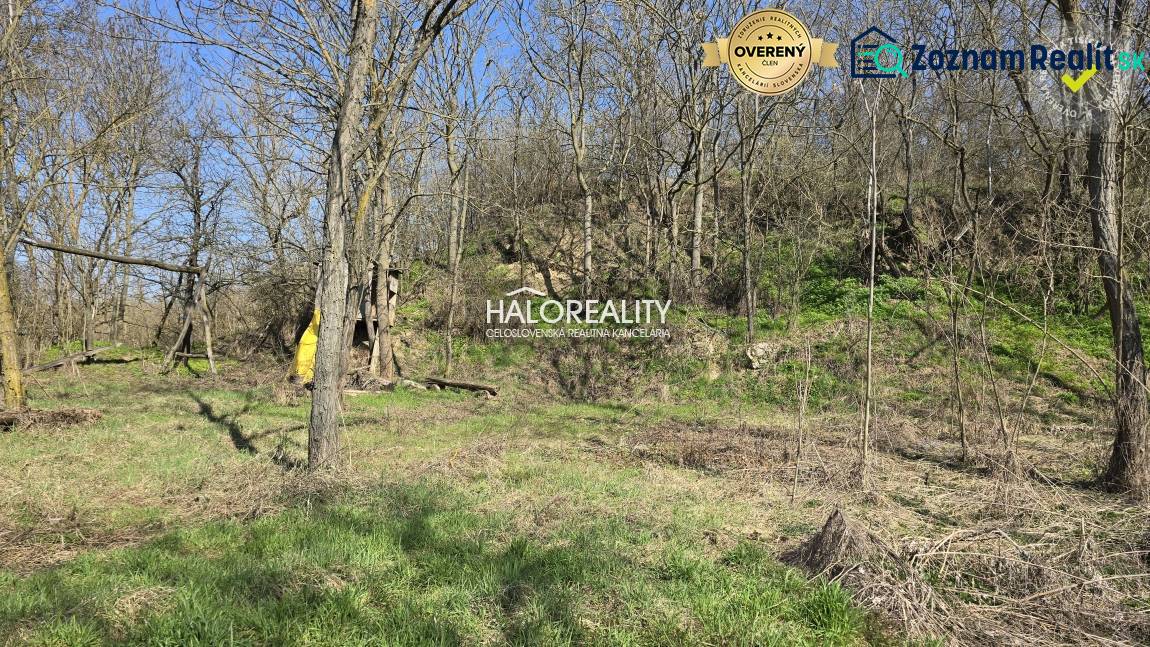 Recreational land in Zalaba with forest cover and grassy area.