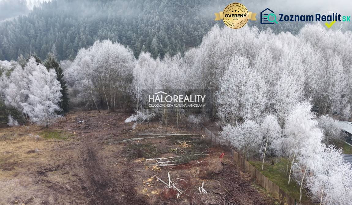 Snow-covered trees and cleared areas, recreational lands in Liptovský Ján.