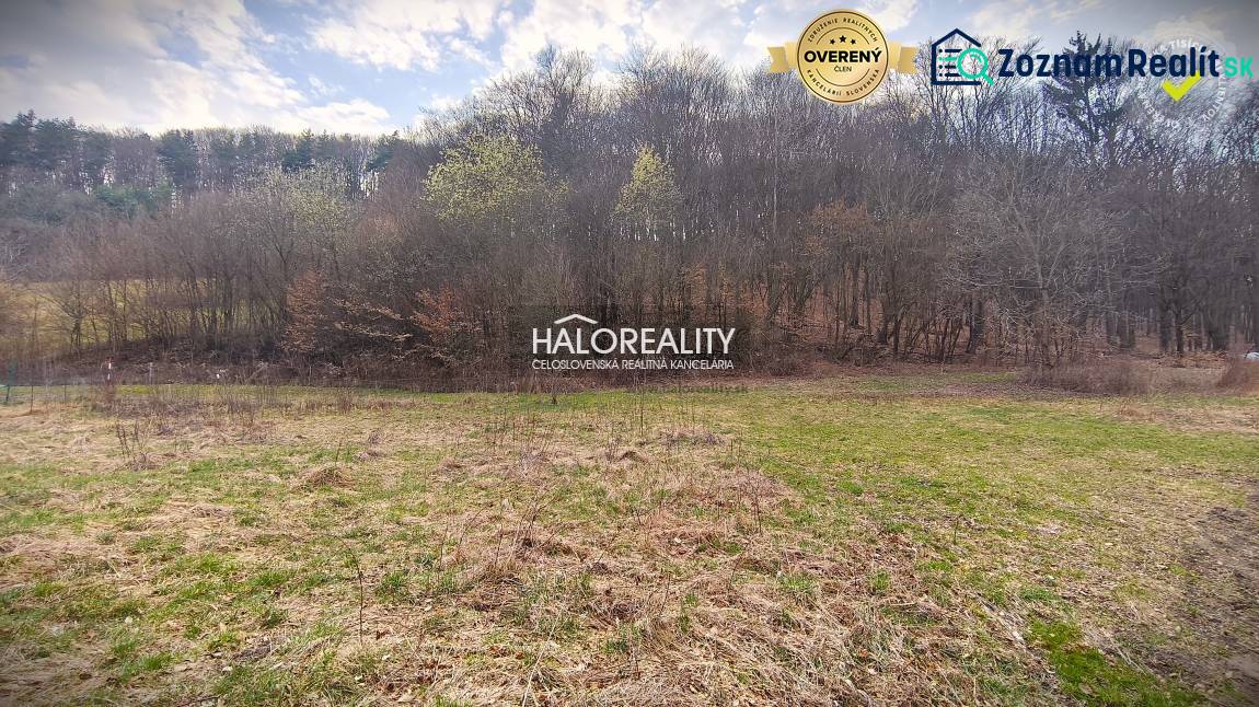 Recreational lands of Ladomerská Vieska surrounded by forest and grassy area.