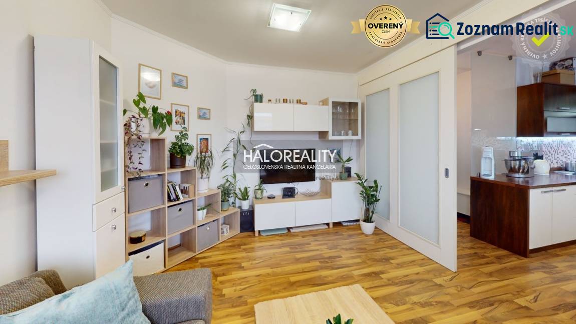 Living room with wooden floor decor, cozy decorations, and houseplants in a two-room apartment.