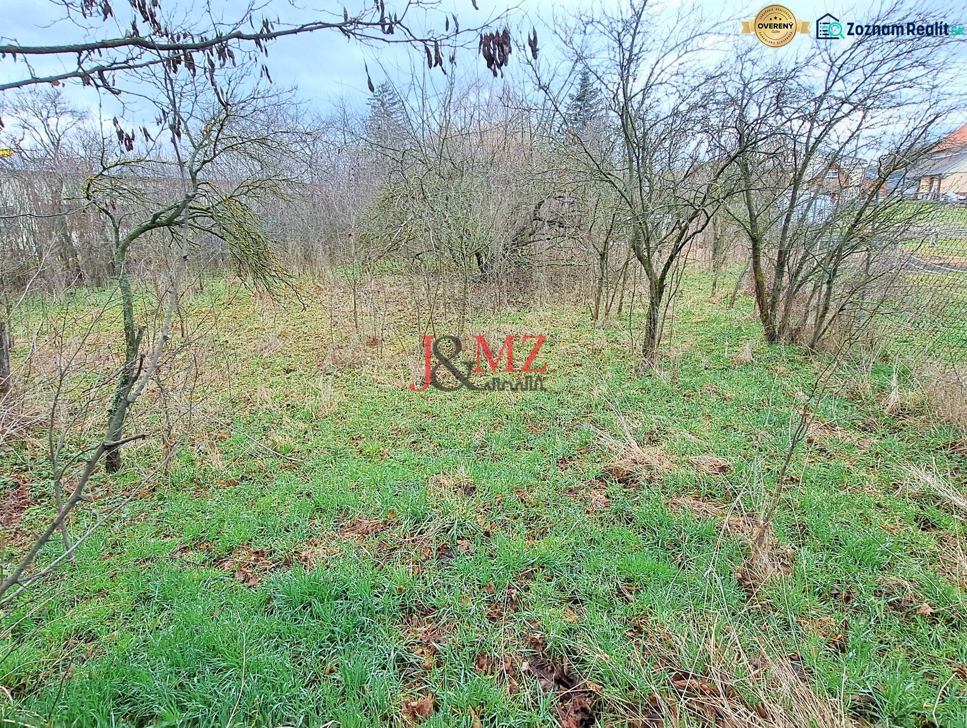 Greenery and trees on a residential plot in Levice.