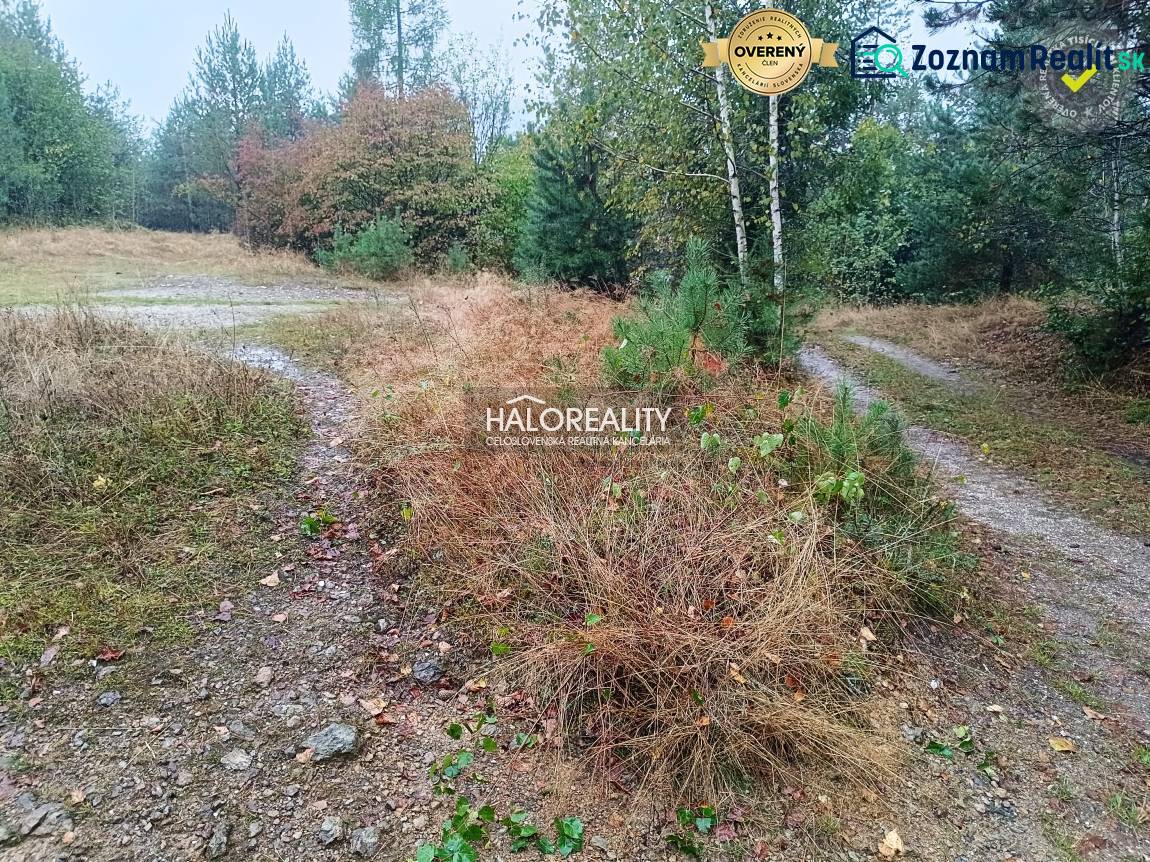 A forest plot for housing in the town of Gelnica with a path between trees and shrubs.