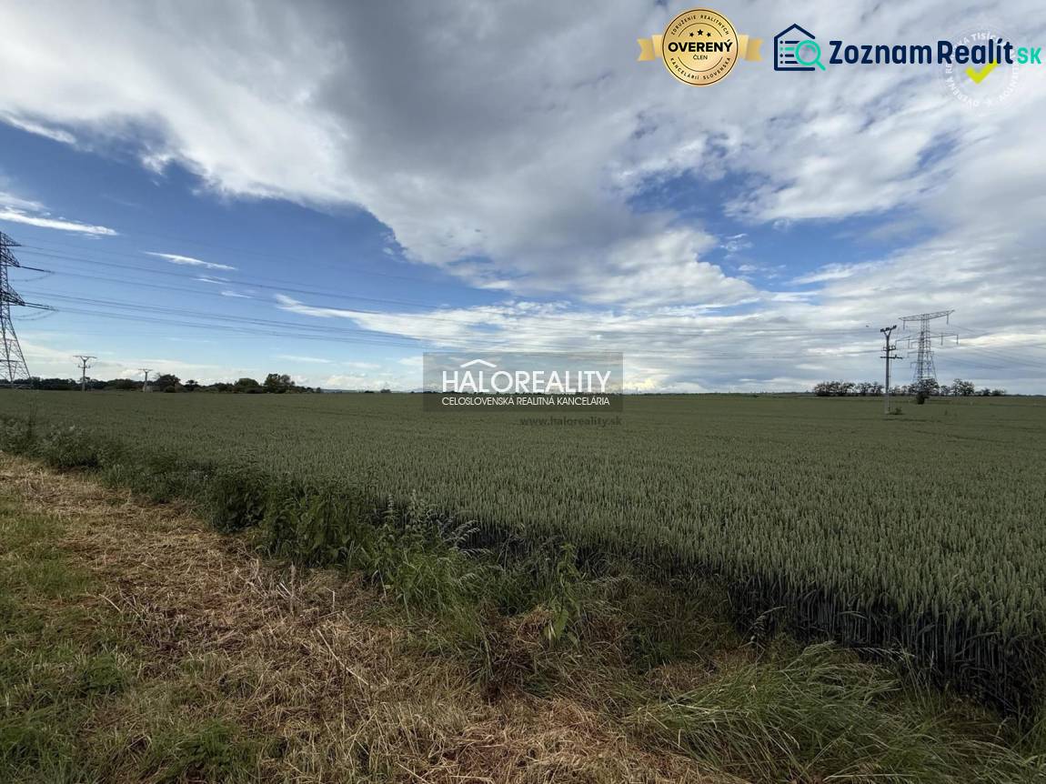 Agricultural and forest lands around Hula with power lines on the horizon.