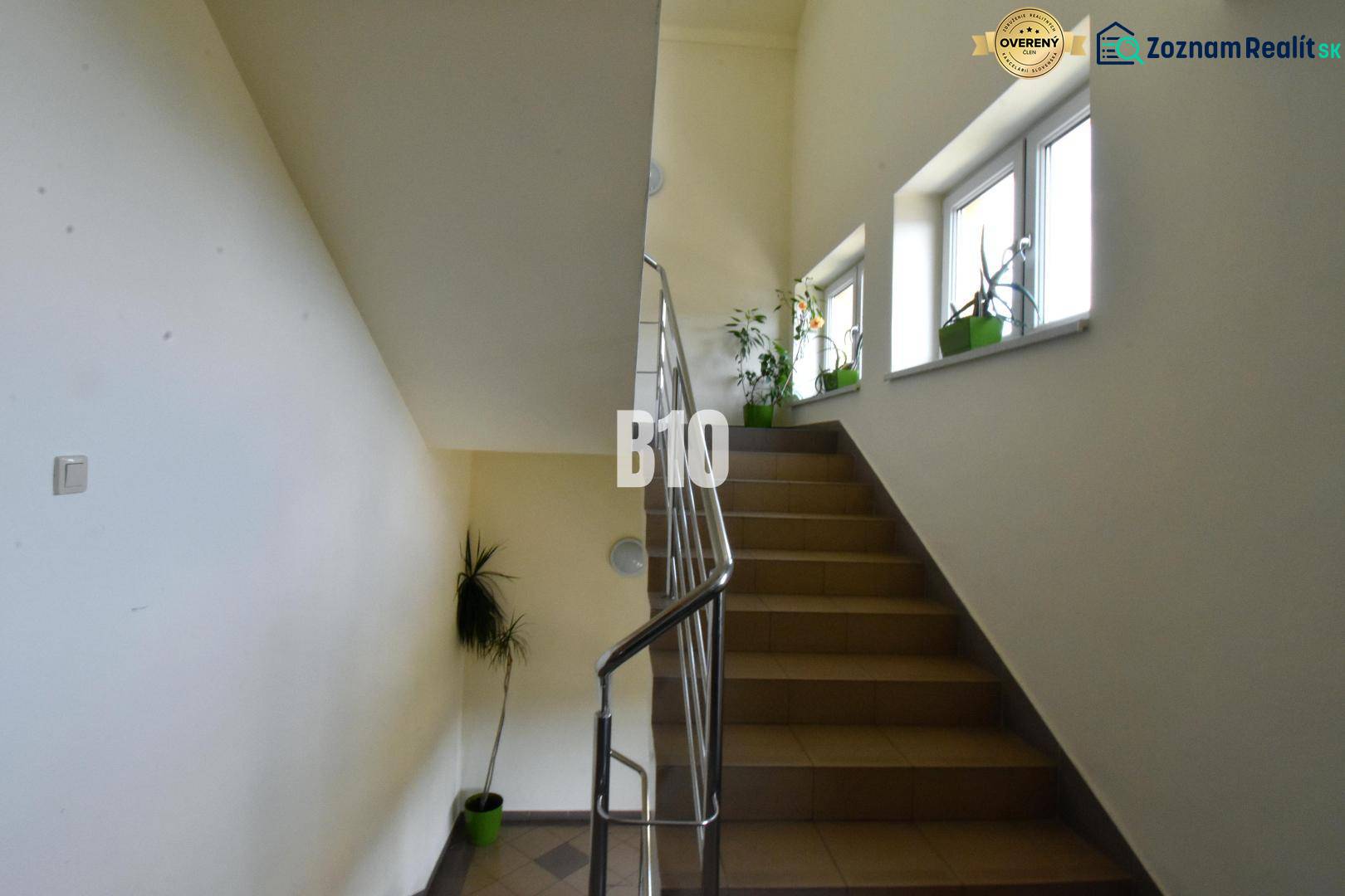A staircase with a railing and plants next to the windows increases the natural lighting in the offices.