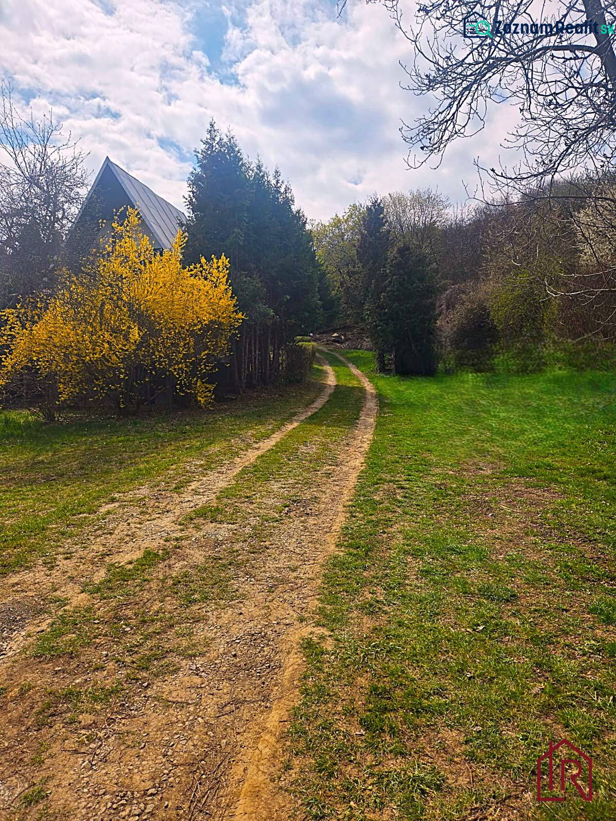 A rural setting near a cottage in Veľký Šariš with an access road and a blooming bush.