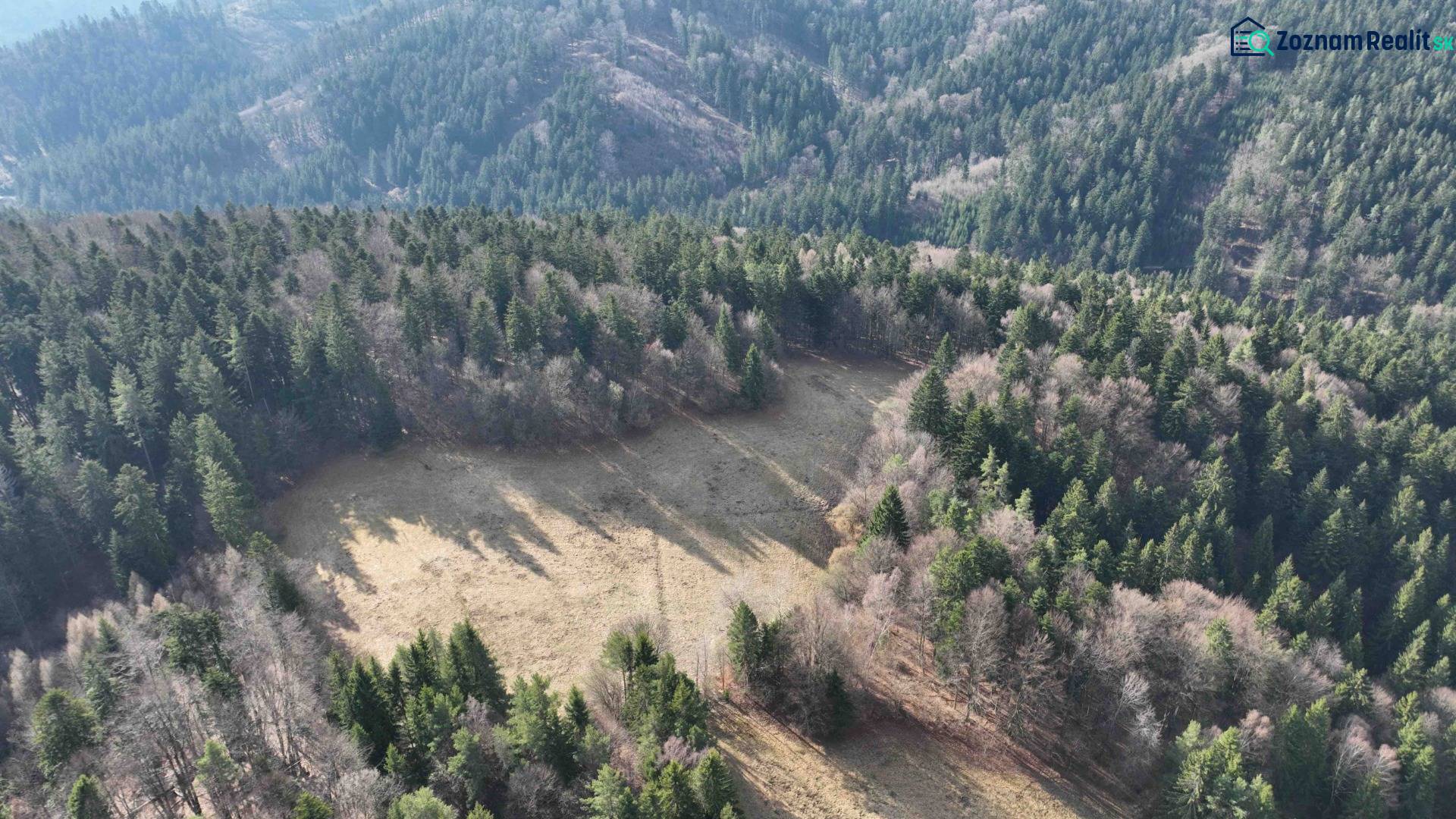 Aerial view of agricultural and forest land in Lazy pod Makytou, surrounded by dense forest.