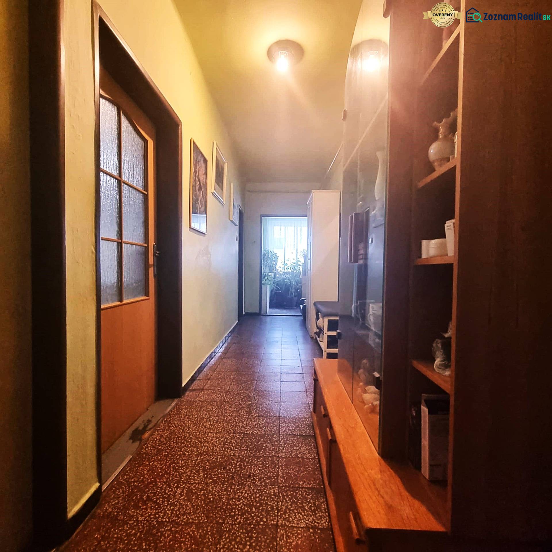 A hallway in a family house with a showcase, doors, and plants at the end.