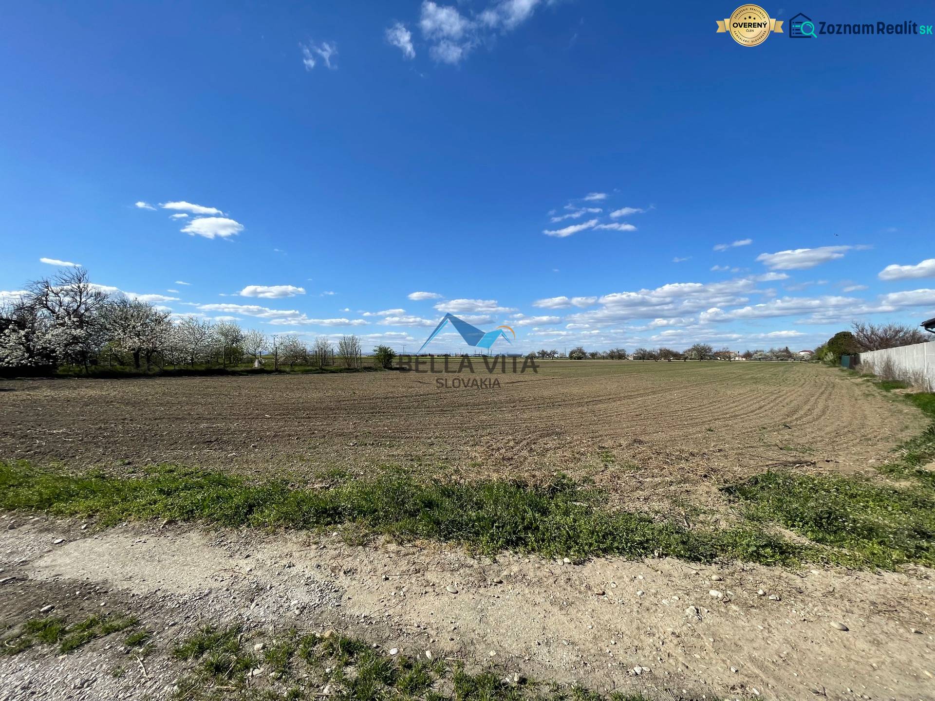 A vast field surrounded by blooming trees on Košútska Street in the Košúty gardens.