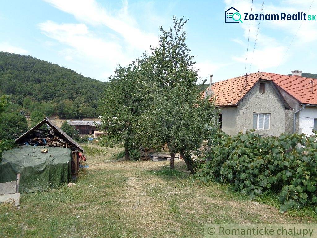 A family house in Šiatorská Bukovinka with a fruit tree, vineyard, and woodshed near the forest.