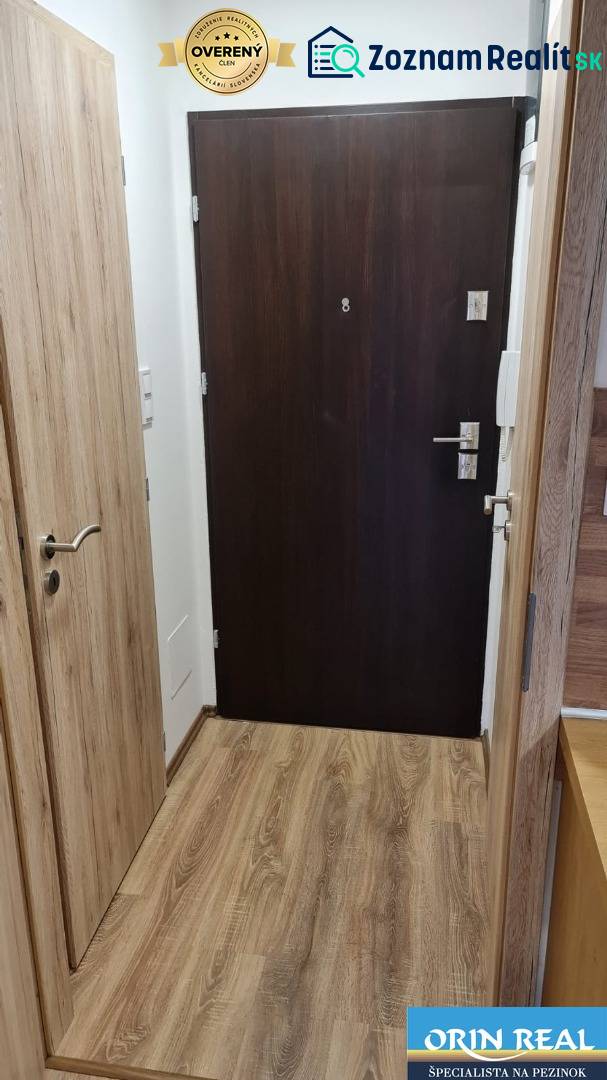 The entrance hallway of a studio apartment with dark doors and a wooden-patterned floor.