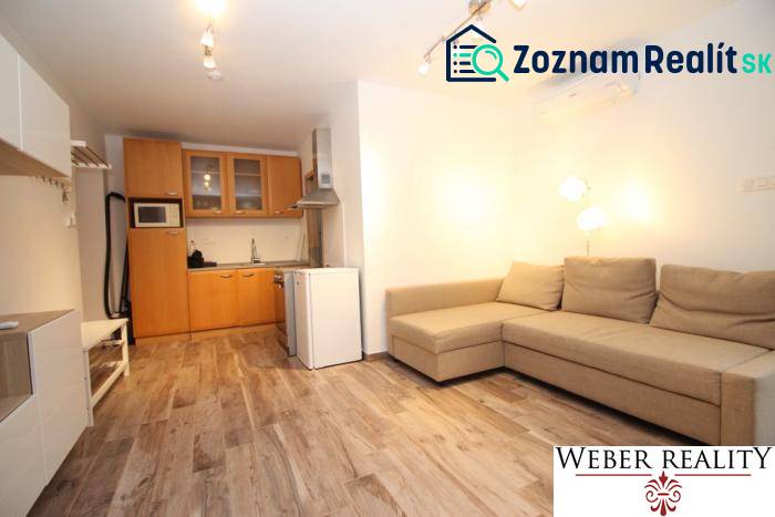 Living room of a studio apartment with a kitchenette and a wooden decor floor.