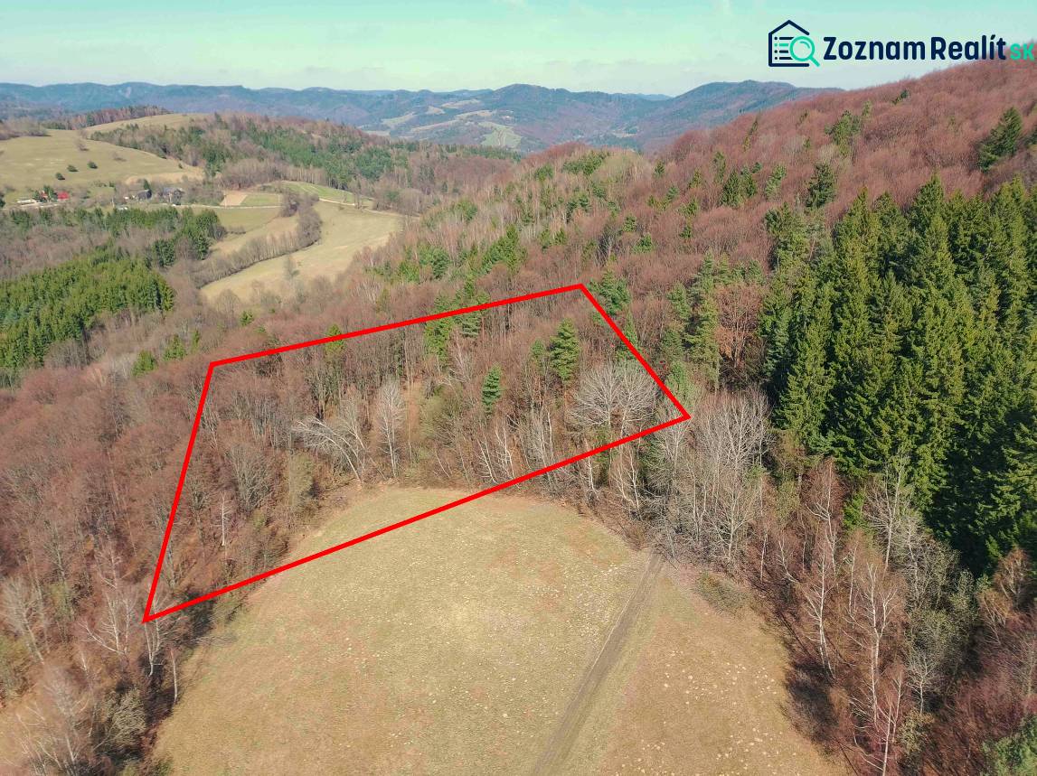 View of forest areas in Lysá pod Makytou, bordered by a red rectangle.