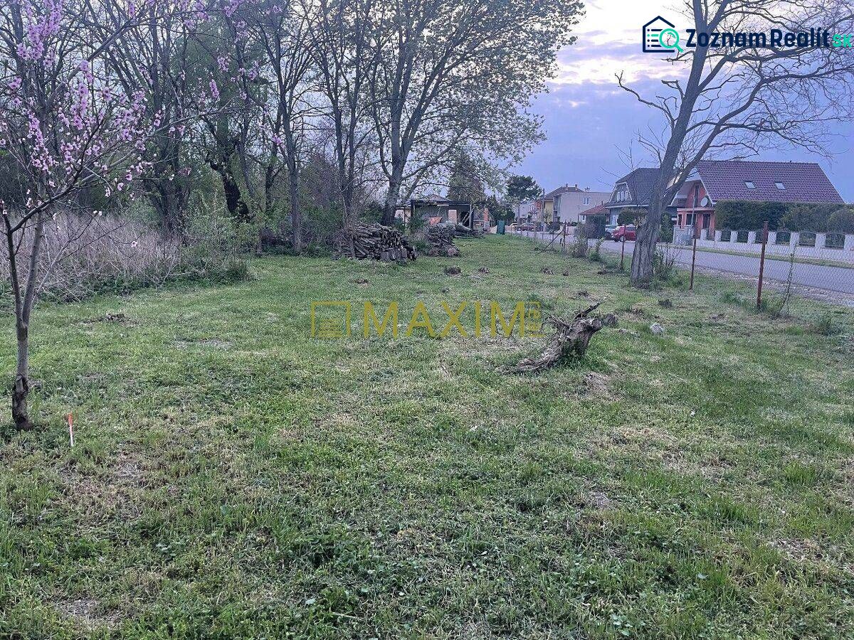 Residential plots in Slovenská Nová Ves with blossoming trees and an adjacent road.