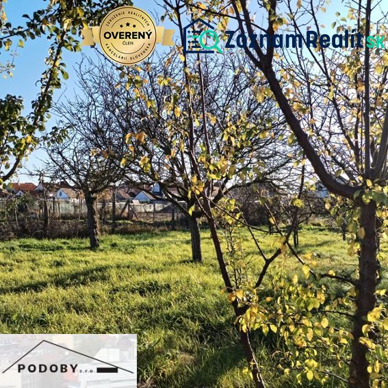 Garden in a family house in Veľké Úľany with fruit trees and grass.