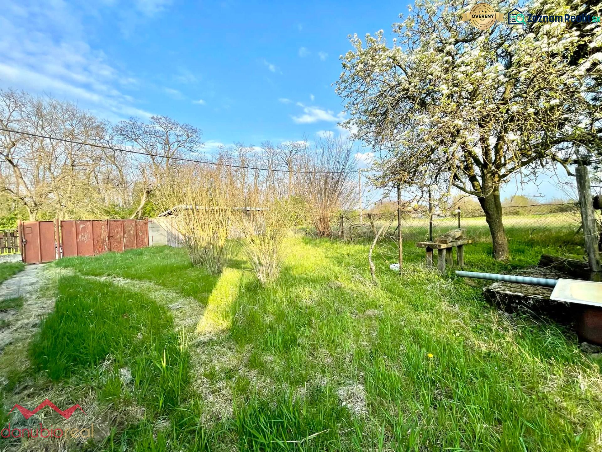 The garden of a family house in Dulovce with a lawn, deciduous trees, and a metal gate.