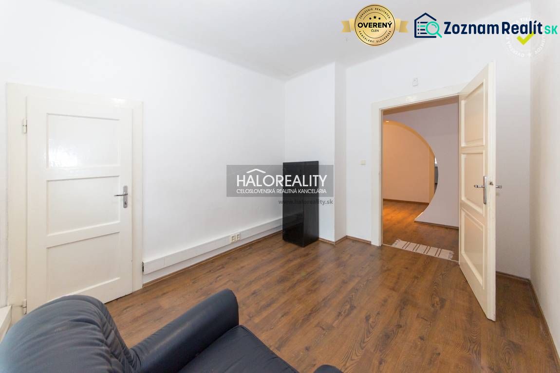 A bright room in a 5 or more room apartment with wooden flooring and a sofa.