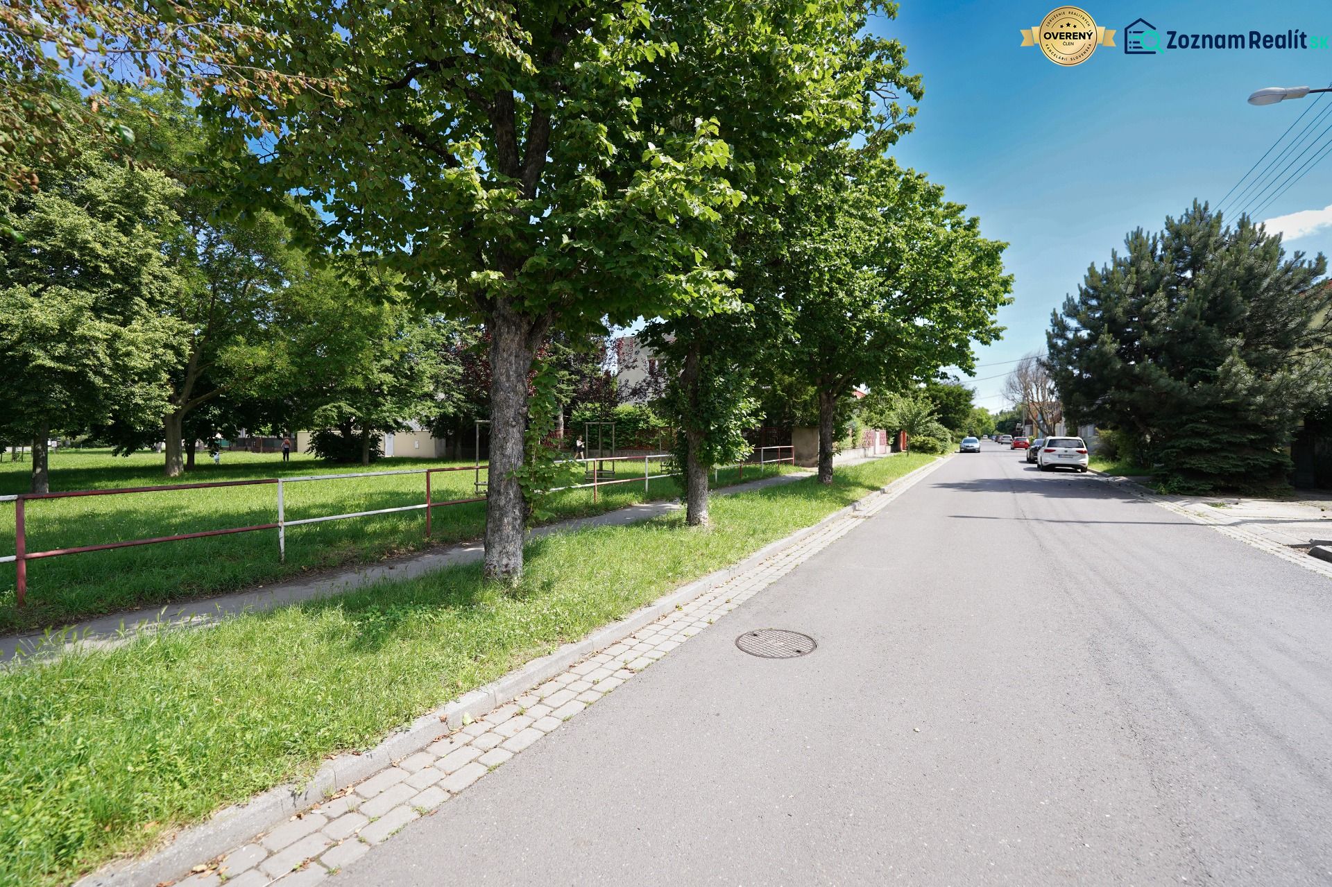 Trees along Kladnianska Street in Bratislava - Ružinov near family houses.