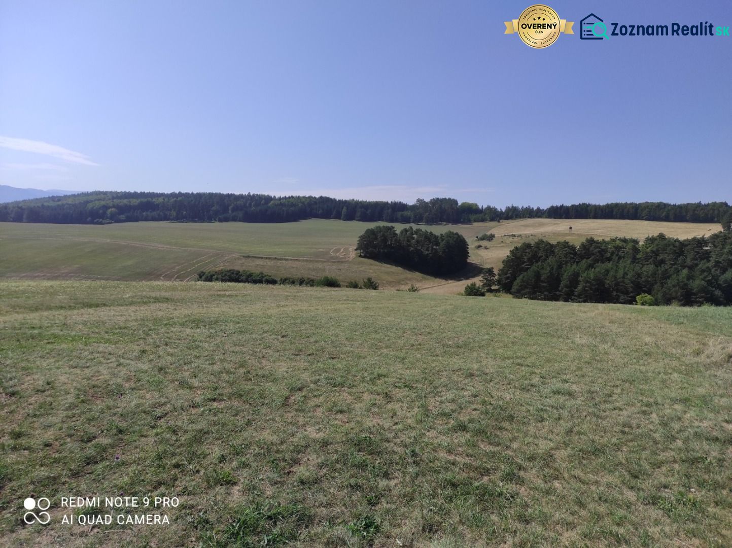 IMG_20220816_101723.jpg