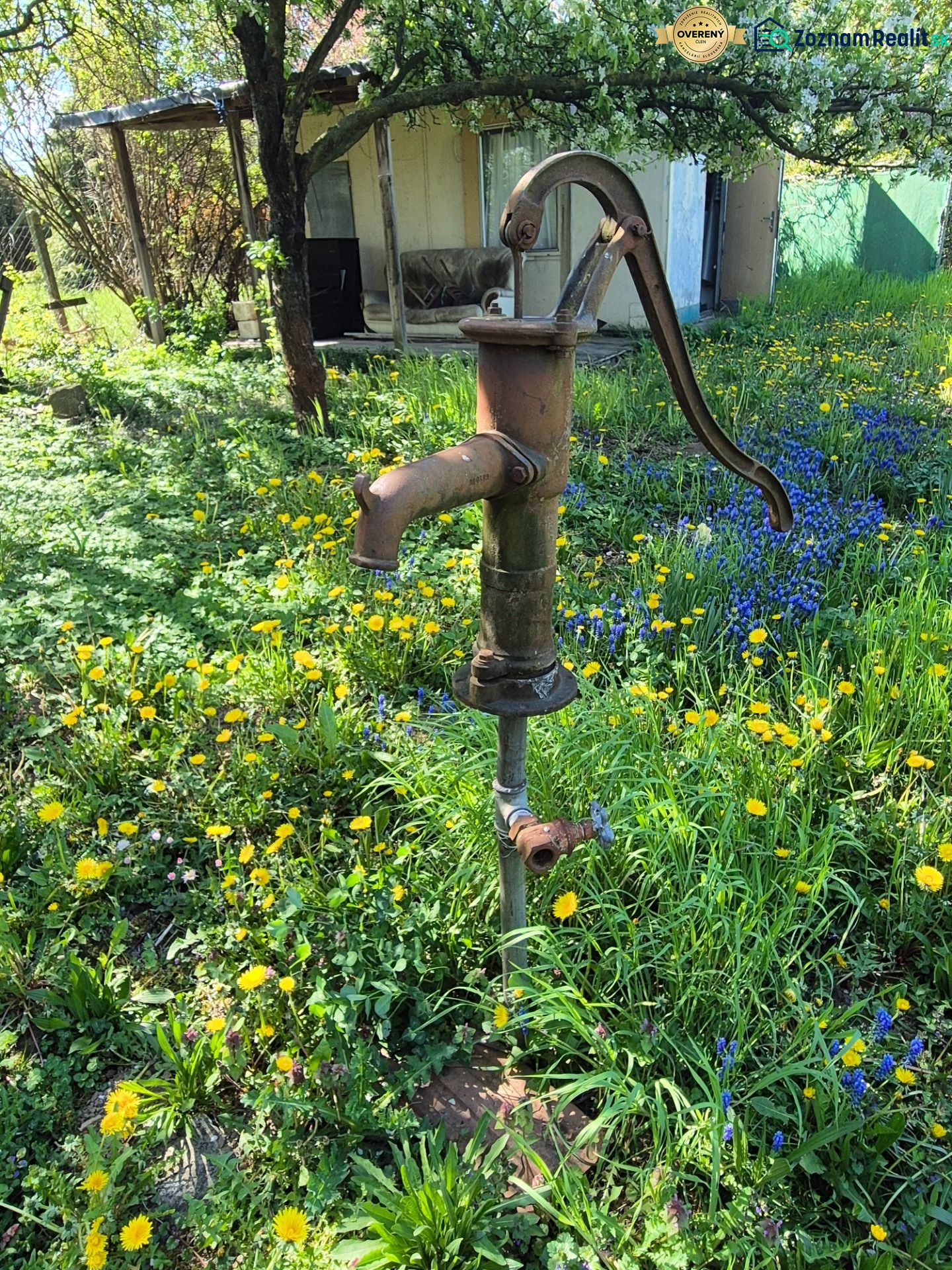 Gardens on Vodná Street in Nitra showcase an old water pump among flowers and greenery.
